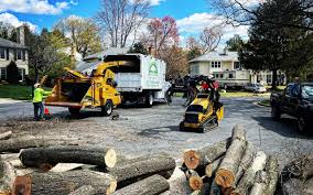 Best Lawn Disease Treatment  in Fulton, KY