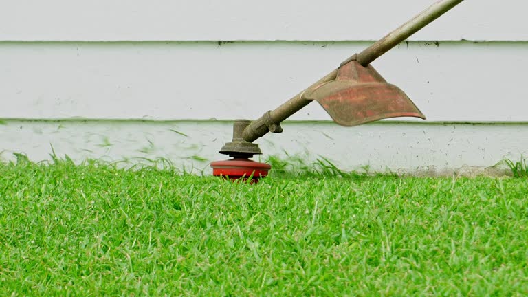 Best Lawn Maintenance Plans  in Fulton, KY