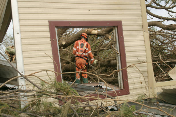 Reliable Fulton, KY Tree Services Solutions